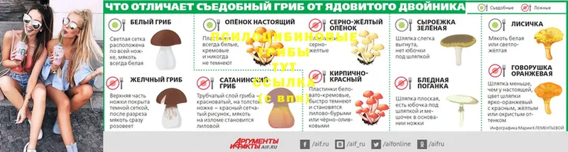 Псилоцибиновые грибы ЛСД  ссылка на мегу вход  Бутурлиновка 